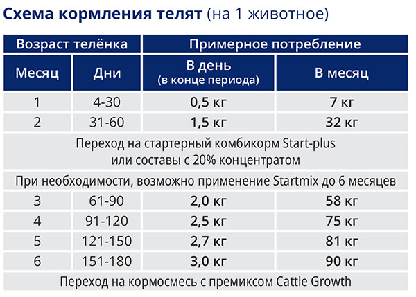 Схема кормления телят