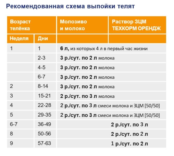 Схема выпойки телят заменителем молока Техкорм Орендж