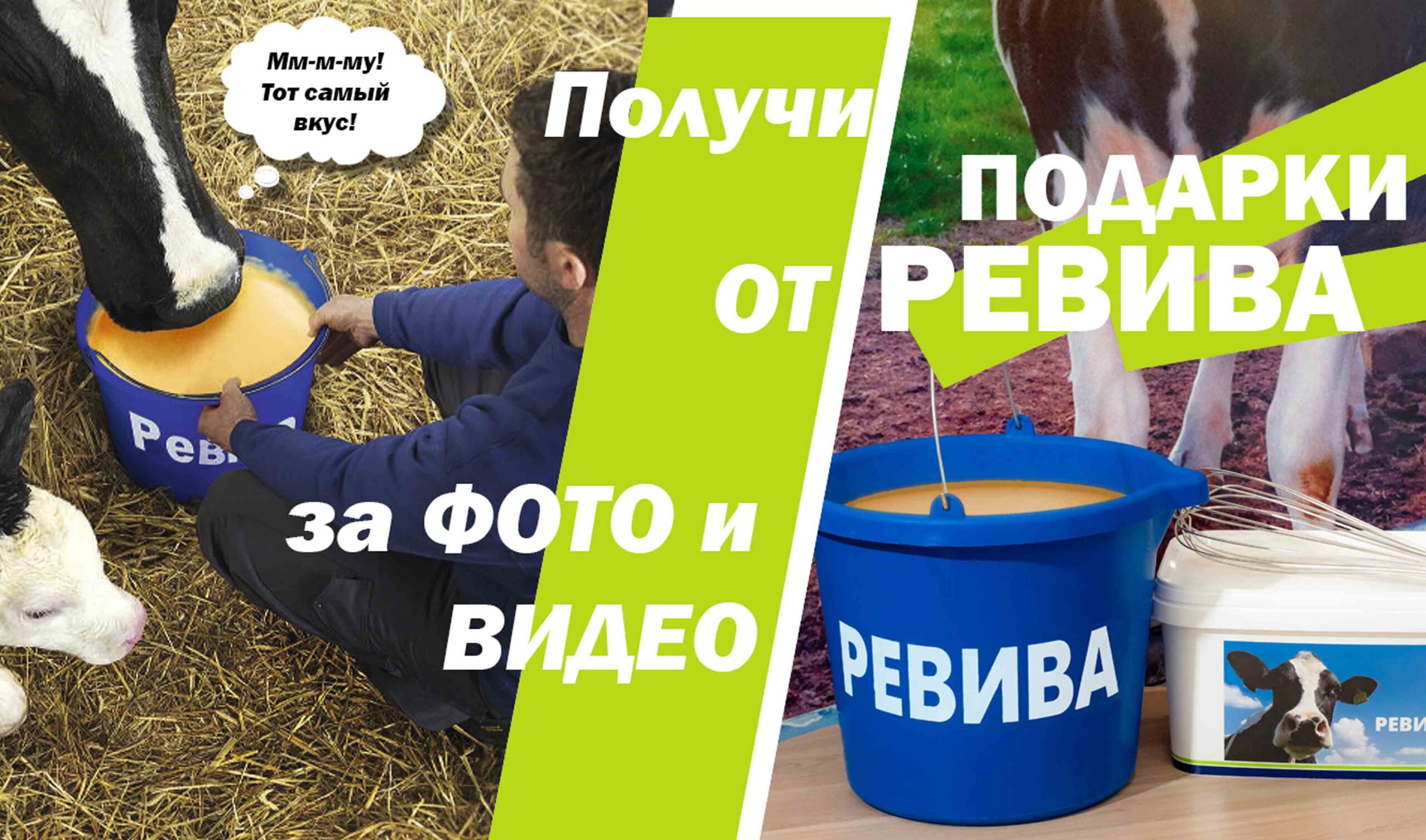 Ведро+венчик для легендарной РЕВИВА в подарок!