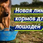 Новая линейка кормов для лошадей