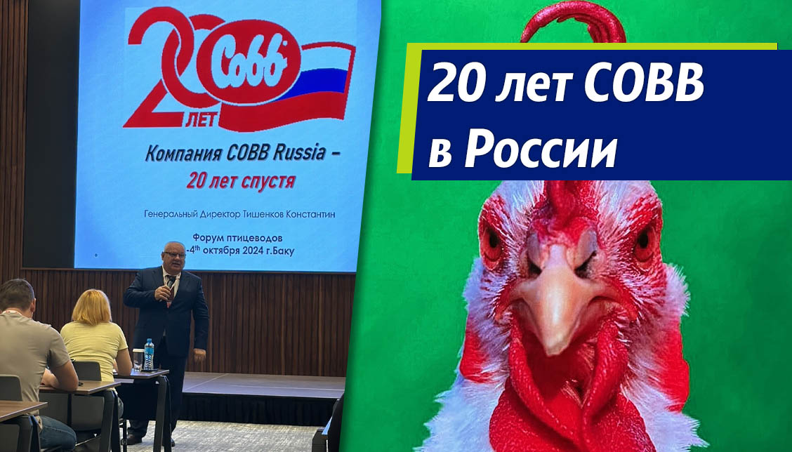 20-летие Cobb в России